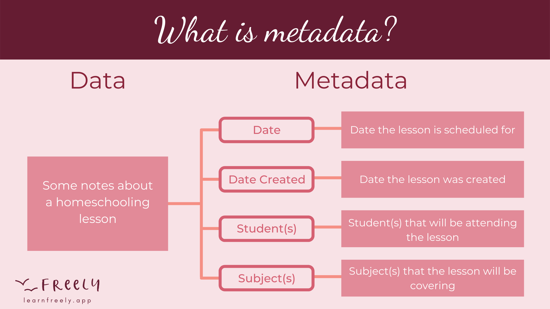 Infographic explaining metadata and how it relates to homeschooling records